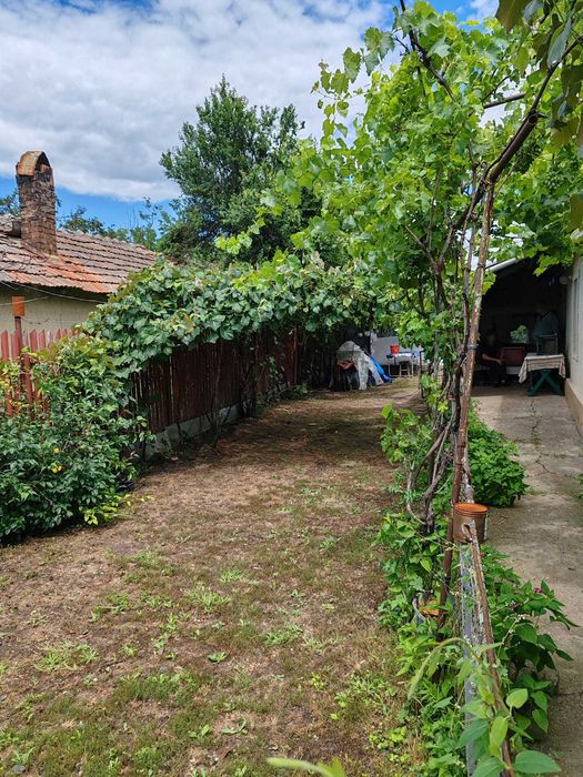 Vând casă la țară Sărulești Sat – curte mare, aproape de București