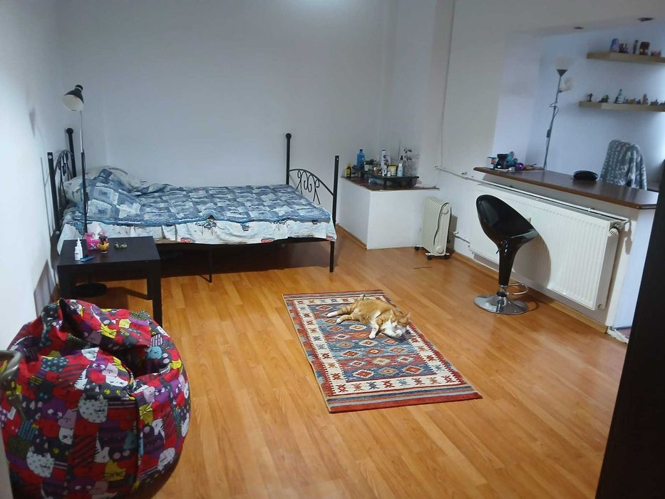 Garsoniera Pantelimon