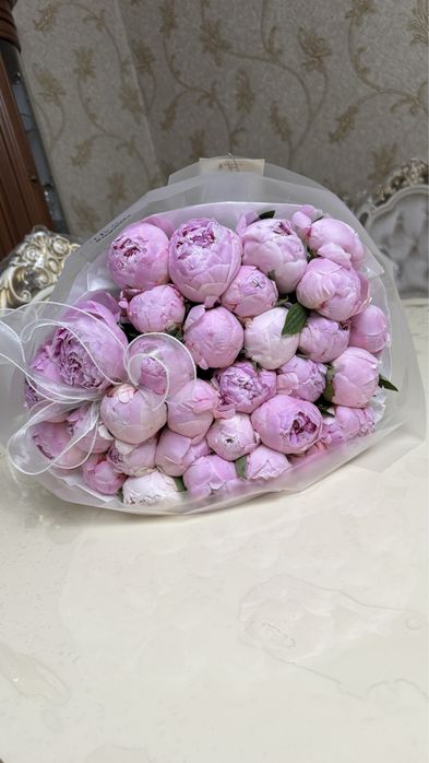 ПИОНЫ ГҮЛ 31 шт сатылады