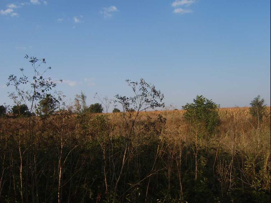 Къща с голям двор в Свобода