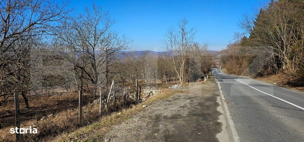 Teren de 30 de ari, Dumitra, 5km de Bistrita