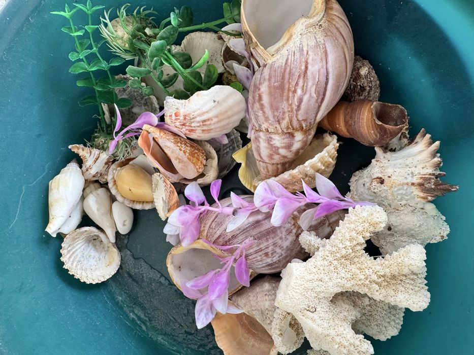 Продам отличный аквариум