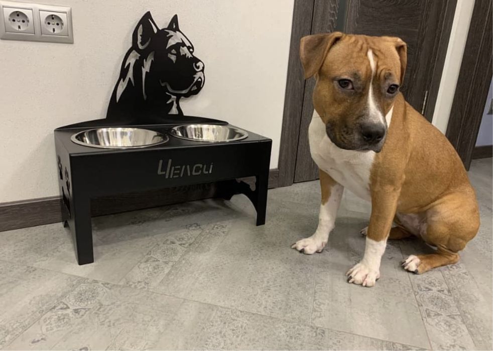 Подставки для мисок собачкам и кошечкам