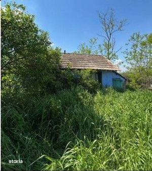 Casa si teren Hlipiceni, jud. Botosani - 3120277