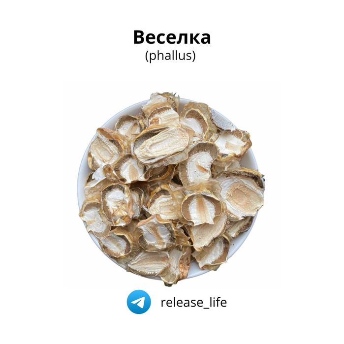 Сушеные лечебные грибы