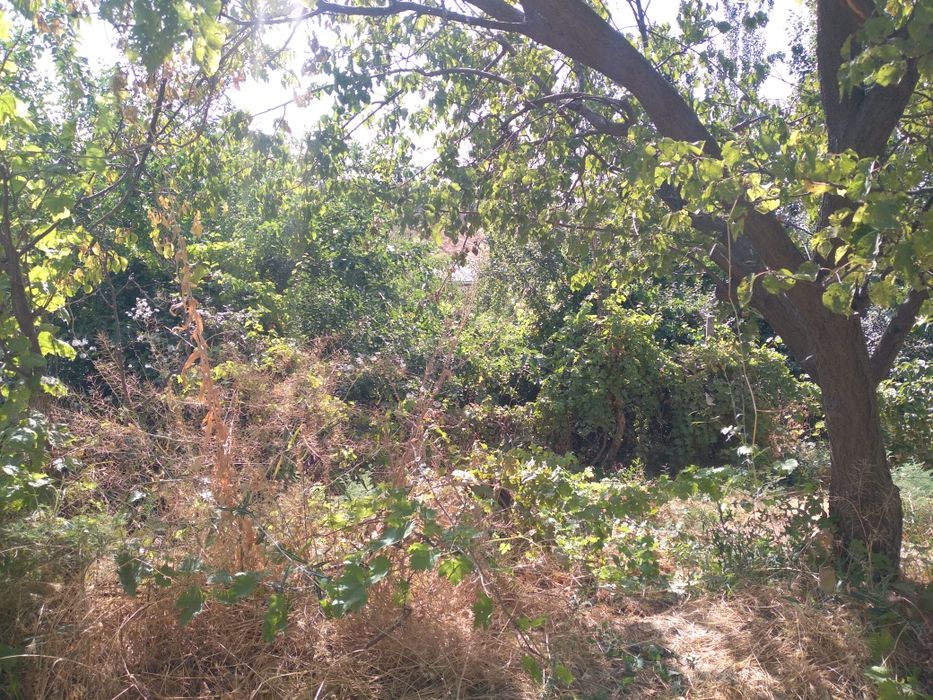 17 sotix barcha qulayliklarga ega xovli sotiladi