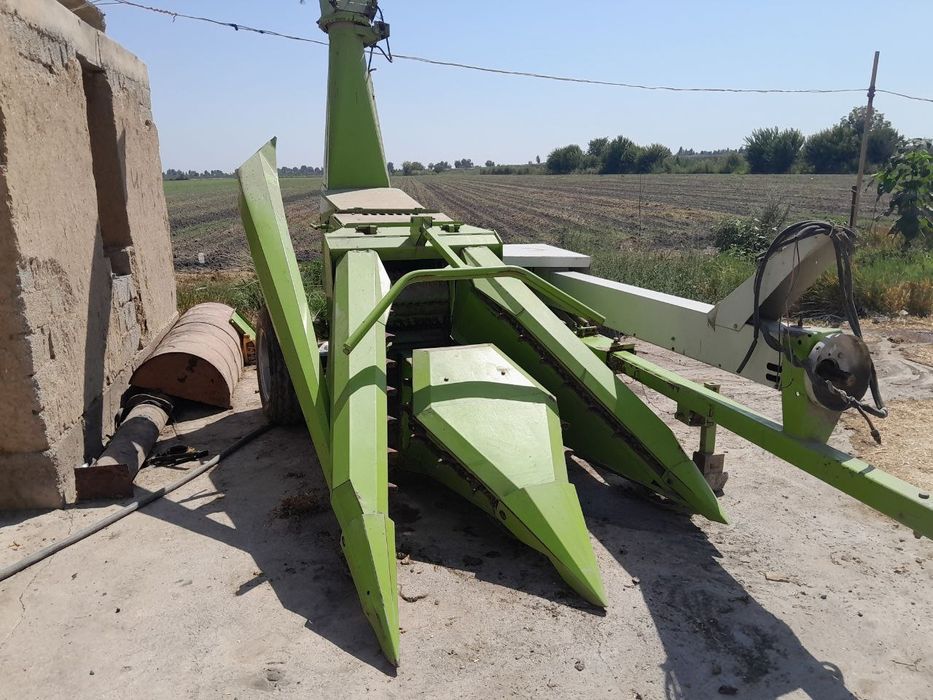 Kulpartura makkajoʻxori oʻradigan