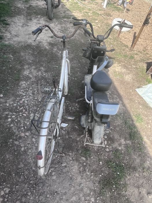 Salgk и велосипед