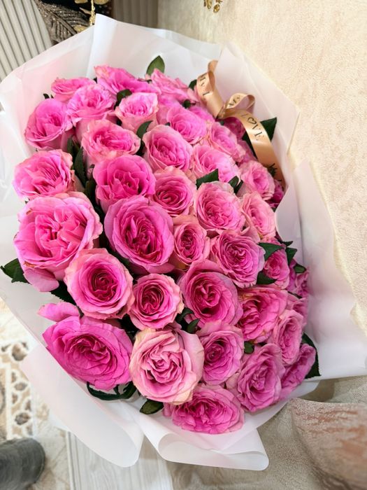 Цветы новые,хорошие