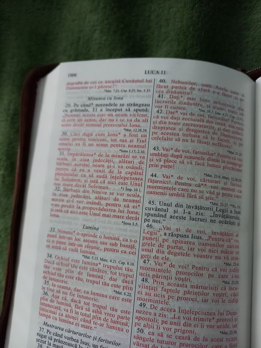 Biblia noua piele naturala