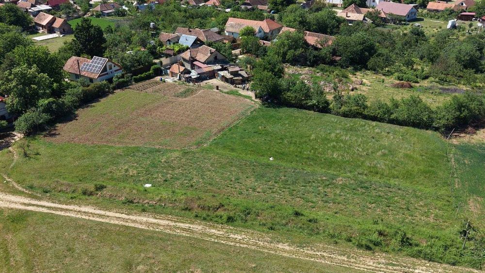 Intravilan în comuna Covasint,ideal pentru construcție casa de vacanta