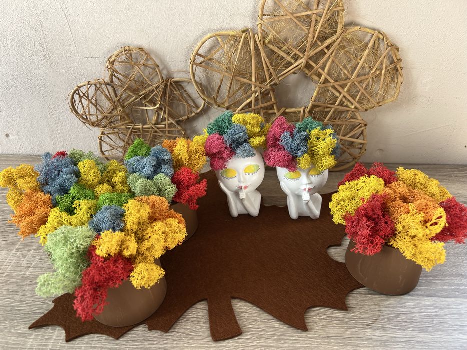 Кашпи със скандинавски мъх 8,50лв.