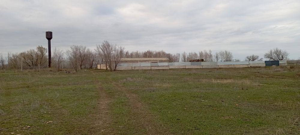 Продается КХ Бурлинском районе.