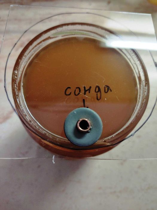 Декристализатор за пчелен мед - комбиниран