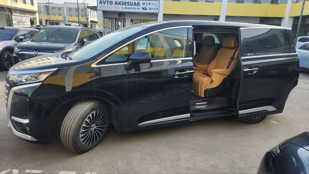 Byd denza D9 premium class