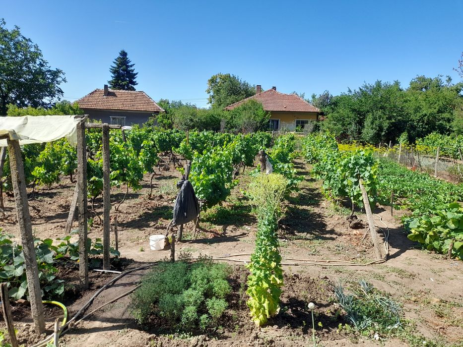 Продавам къща в с. Динковица