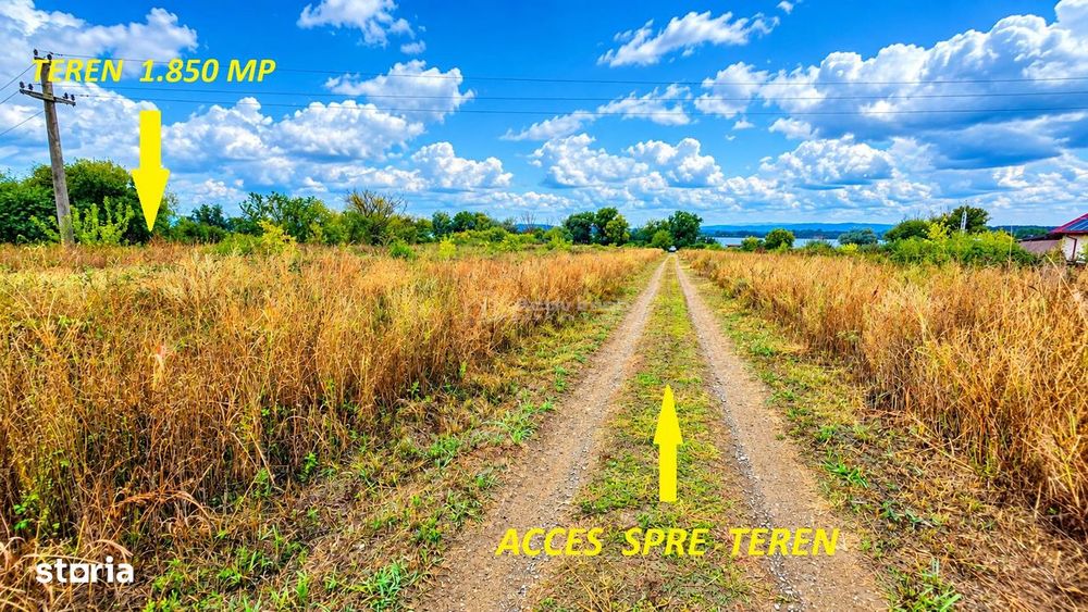 Macesti | Teren Drept La Dunare | 1850MP | ZERO COMISION