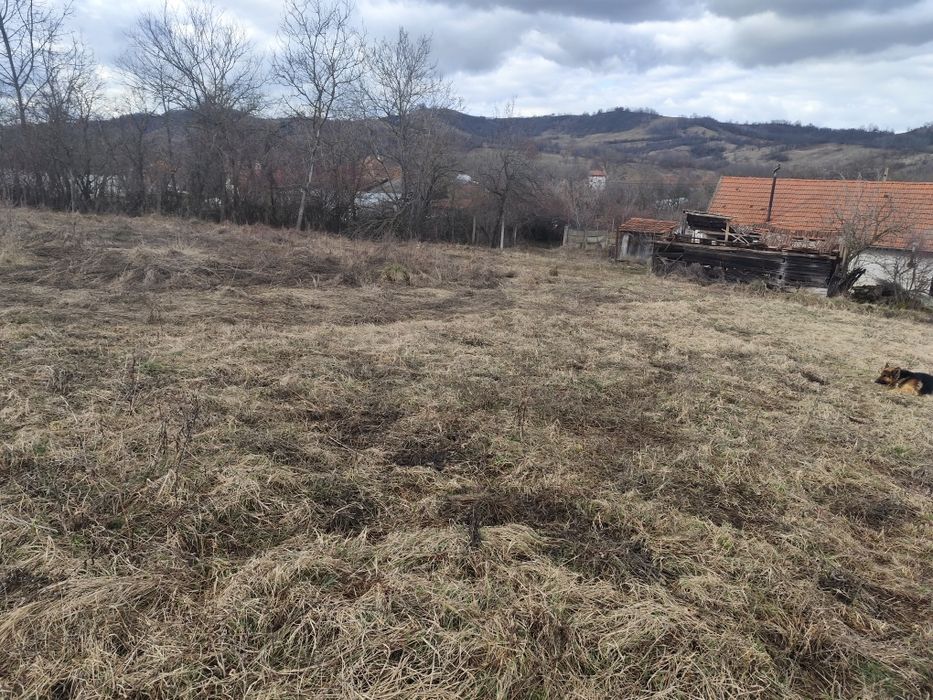 Caut colaborare,parteneriat afacere turism, agrement etc. Rog citiți