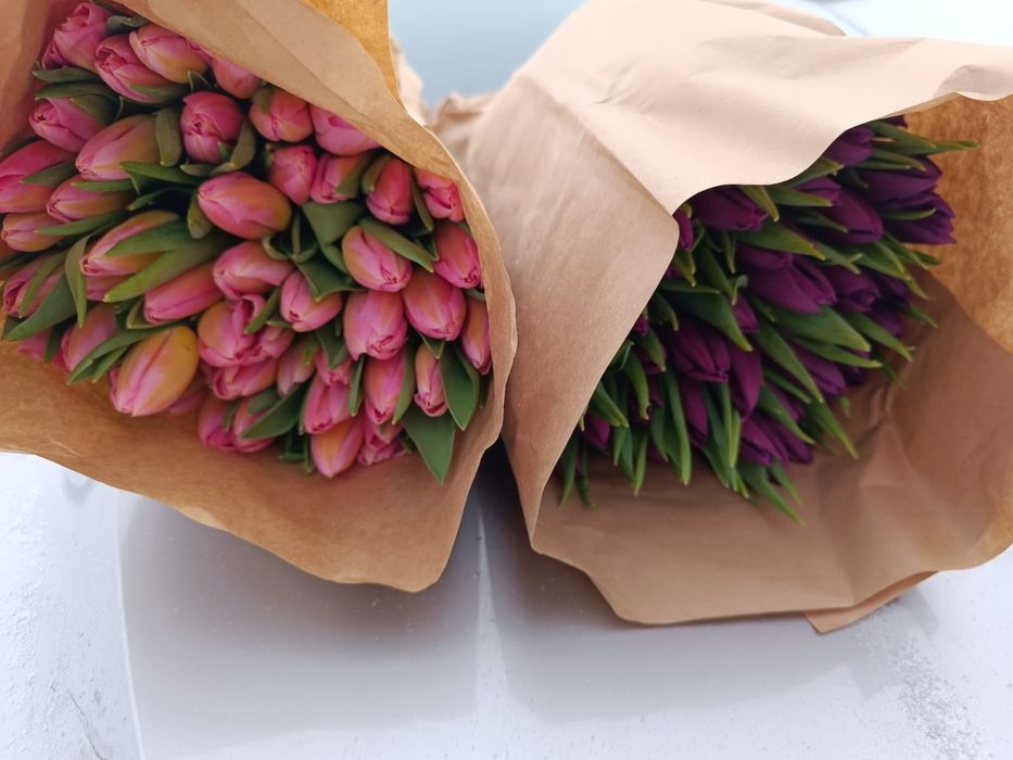 Тюльпаны в розницу от 550тг.