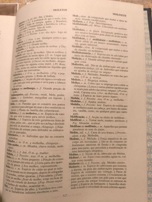 Тълковен речник на португалскиия език - като нов, том 3