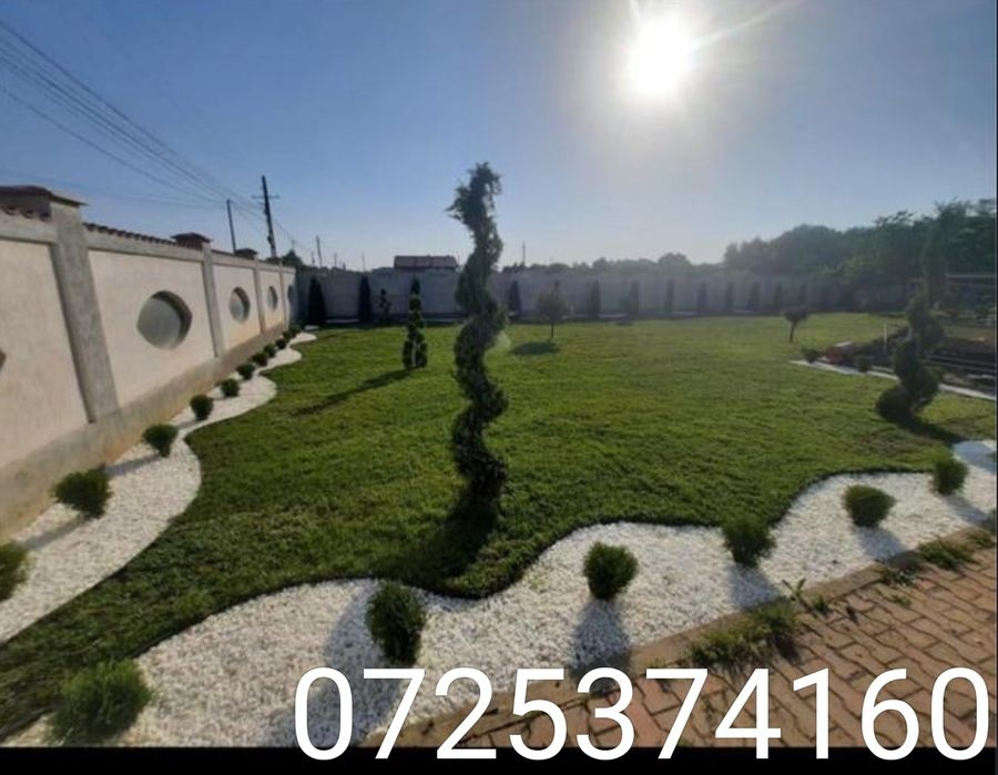 Gazon rulou super sport oferta livrare la domiciliu!!