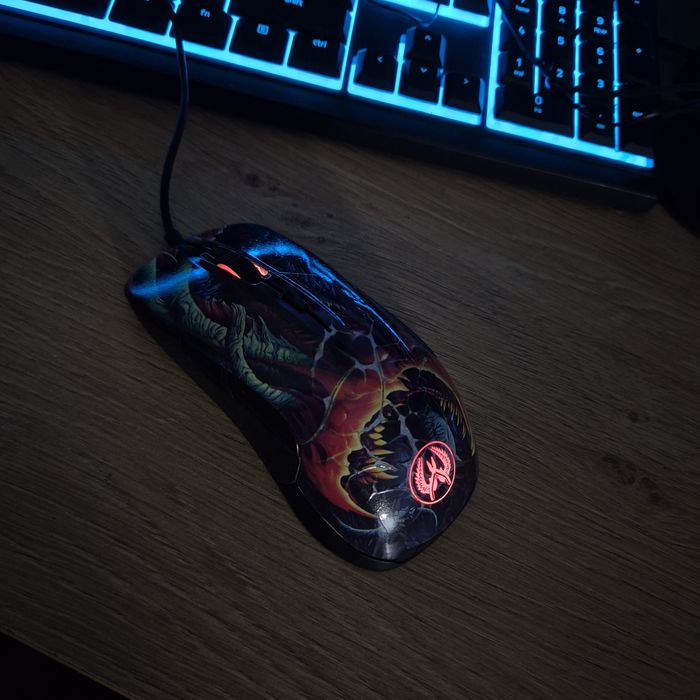 Mouse CS:GO SteelSeries