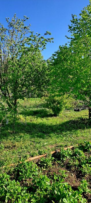 Продам дачу 7.5 соток общество " Кристалл"