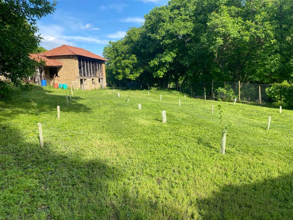 Озеленяване и поддръжка.