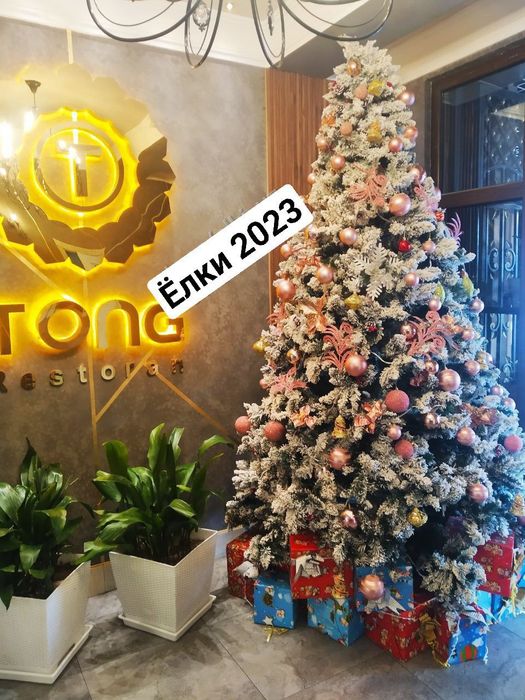 Ёлка Сибирь премиум класса