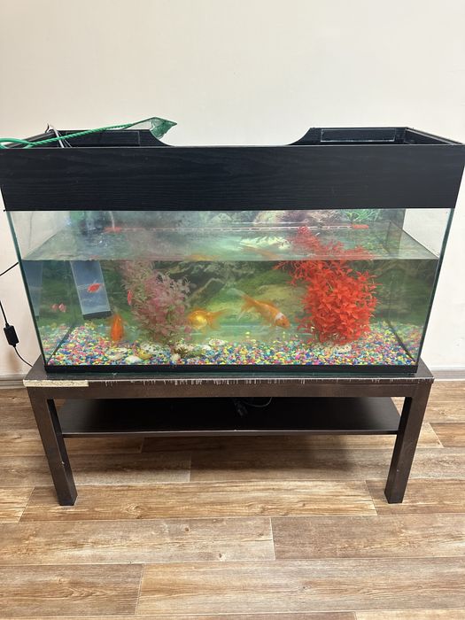 Продам или обменяю Аквариум, нужен 30-40 литровый