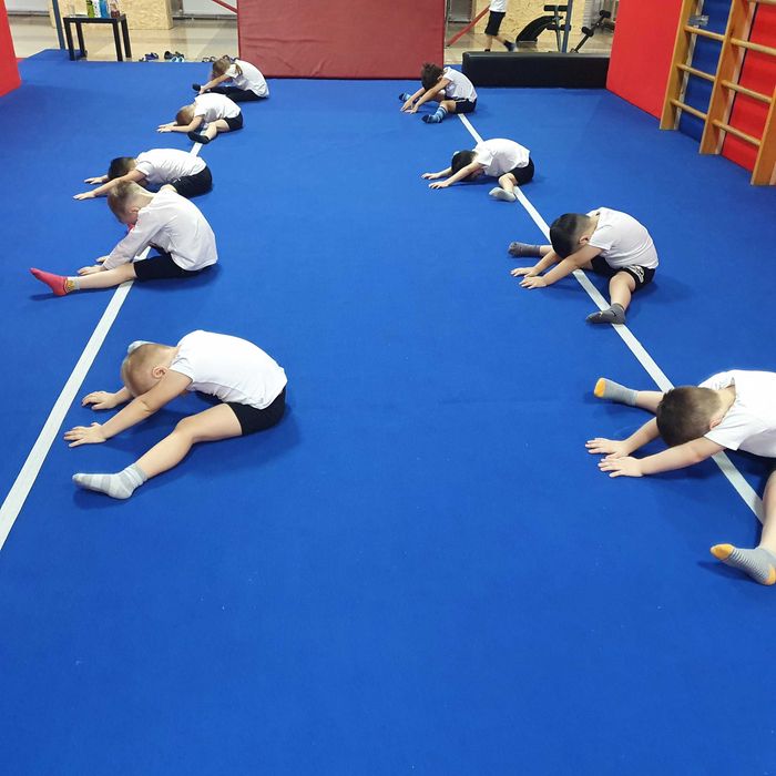 Ковер "ковролан" 6×9 метра