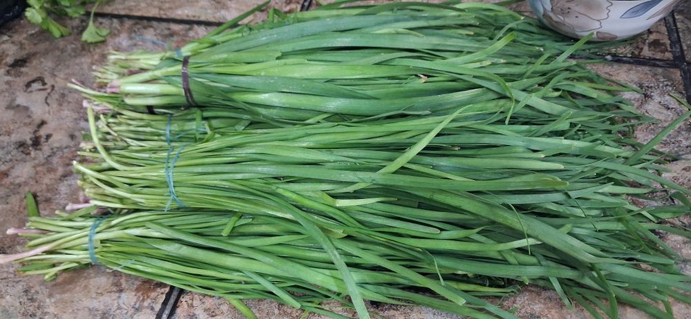 Продаётся жусай,ёмди(