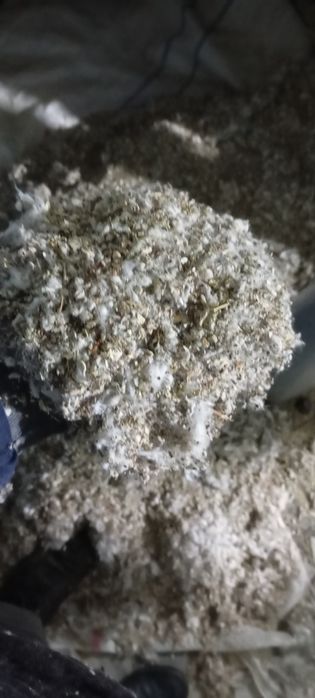 Mol va qoʻylar uchun paxta preslari