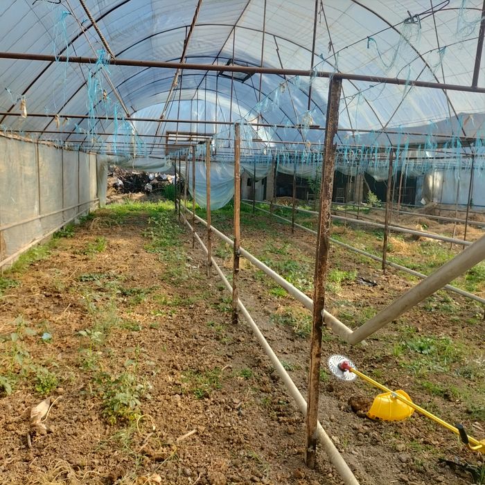 Parnik sotiladi 3,5 sotix