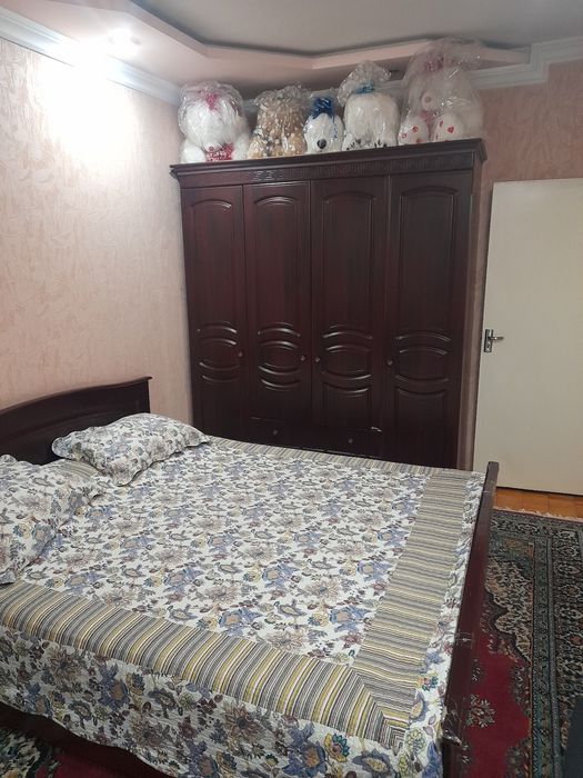 Тошкент шахар олмазор