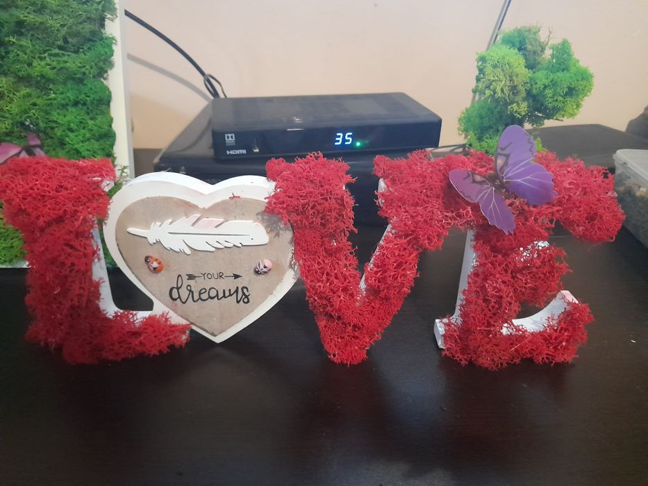 Картини от скандинавски мъх