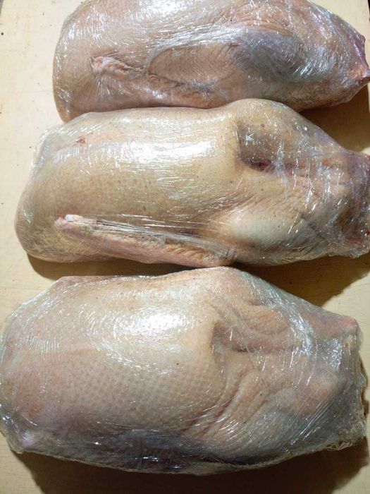 Гусиное мясо. Халяль