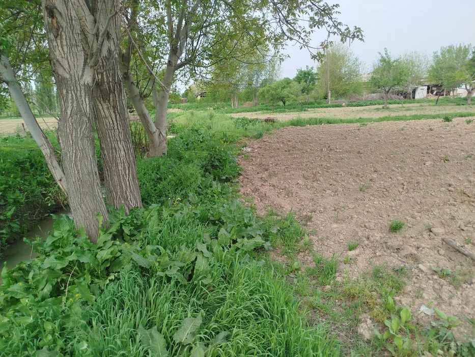 Yer uchastkasi 6 sotixdan  70sotixgacha qib beramiz hujatida muamo yoq