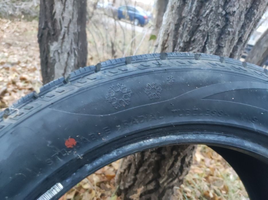 Автошины шипованные 215/55/17