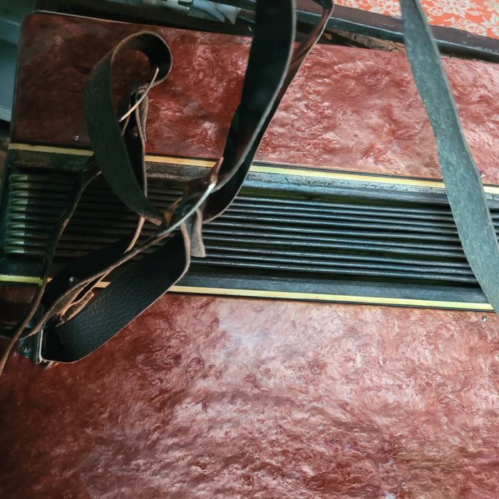 Детски  акордеон.