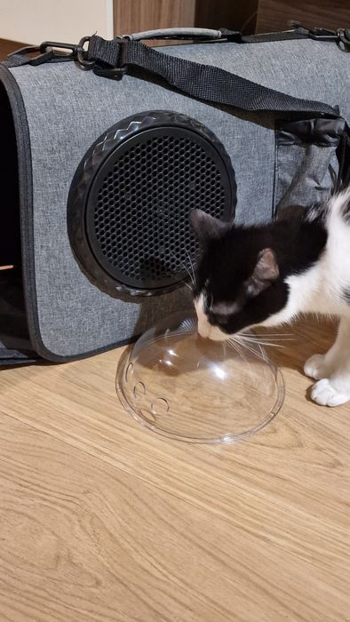 Чанта за котка и малко куче, ново
