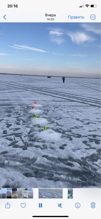 Готовые  зимние удочки дракон