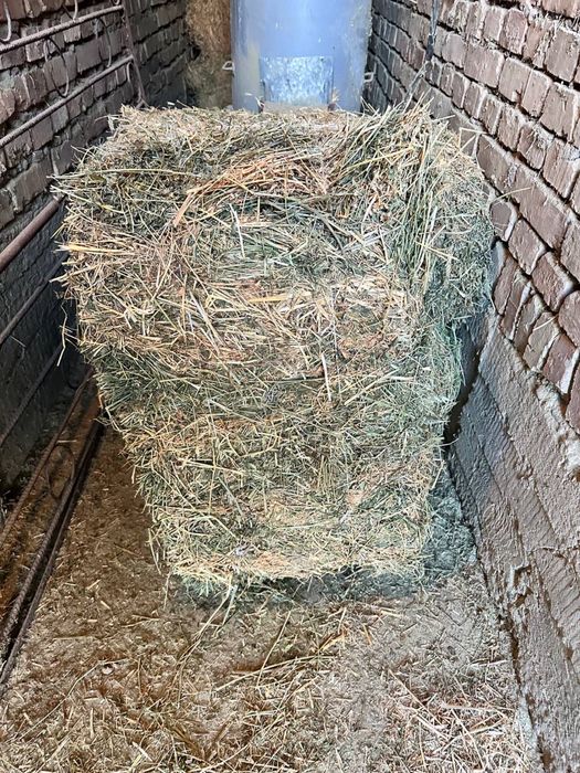 Беда пресс сотилади