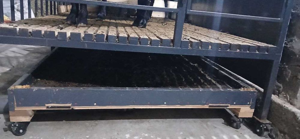 Qo'yxona, qo'ylar uchun alohida yashash joyi