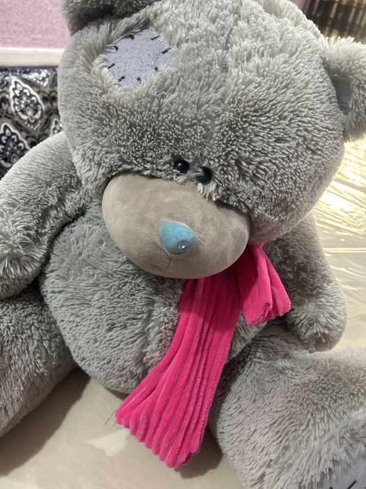 Teddiy ayiq ortacha kattalikda yangi sfati zor