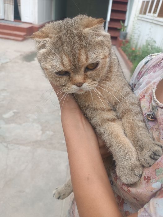 Chernigovdagi jinsiy aloqa qizlari