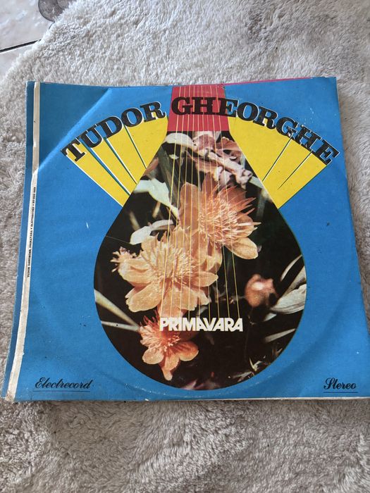Discuri vinilin