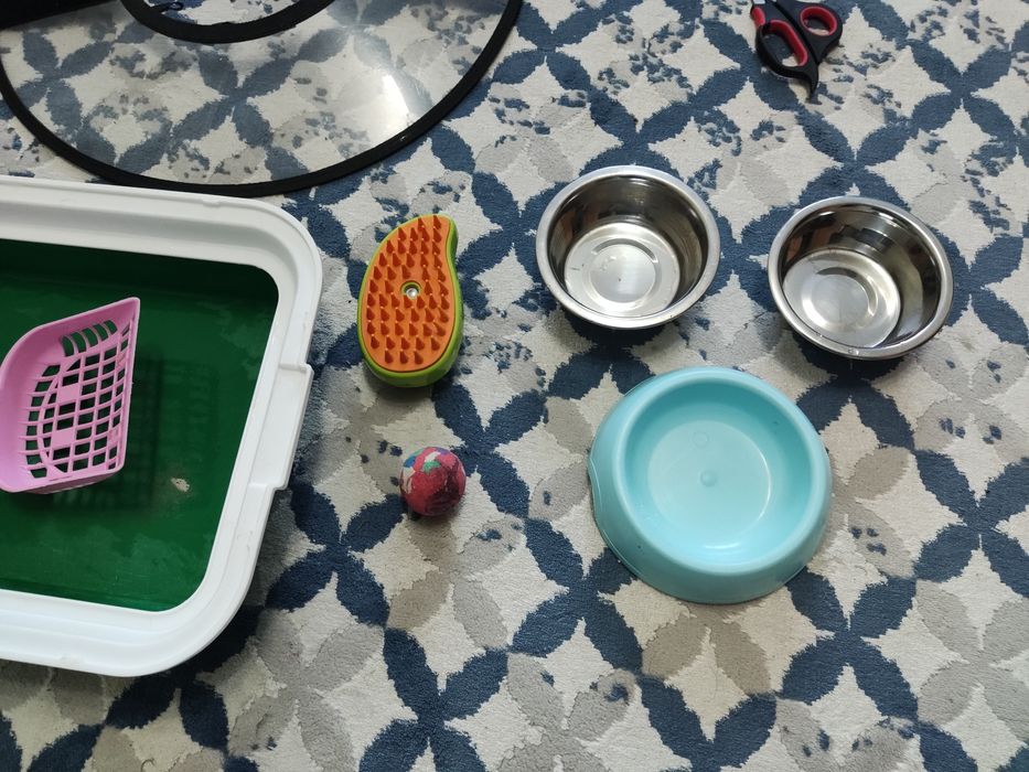 Латок для кошек миска