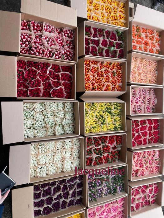 Тюльпаны оптом Астана