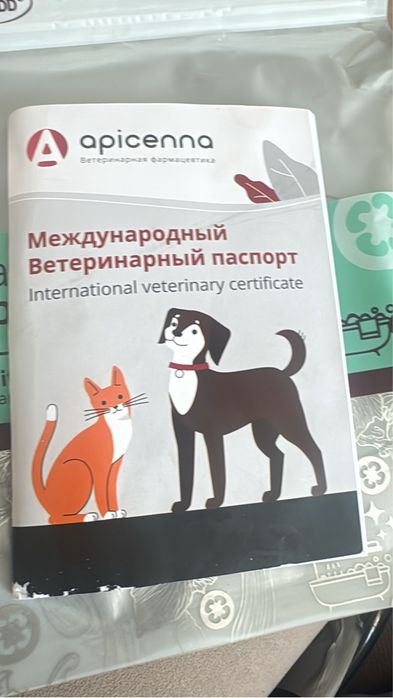 Мейкун мальчик 11 мес